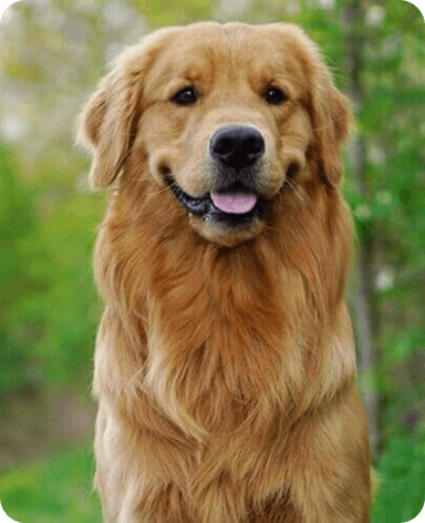 Profile photo of Charlie