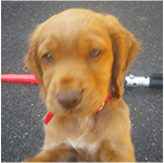 Profile photo of Max